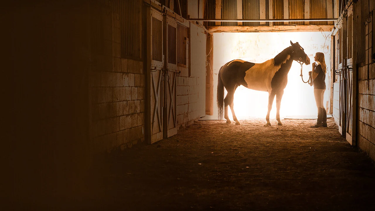 Фильм Сердце чемпиона (2018)