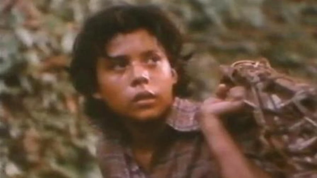 Фильм Альсино и Кондор (1982)