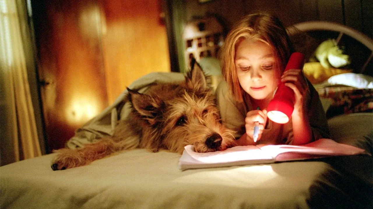Фильм Благодаря Винн Дикси (2005)