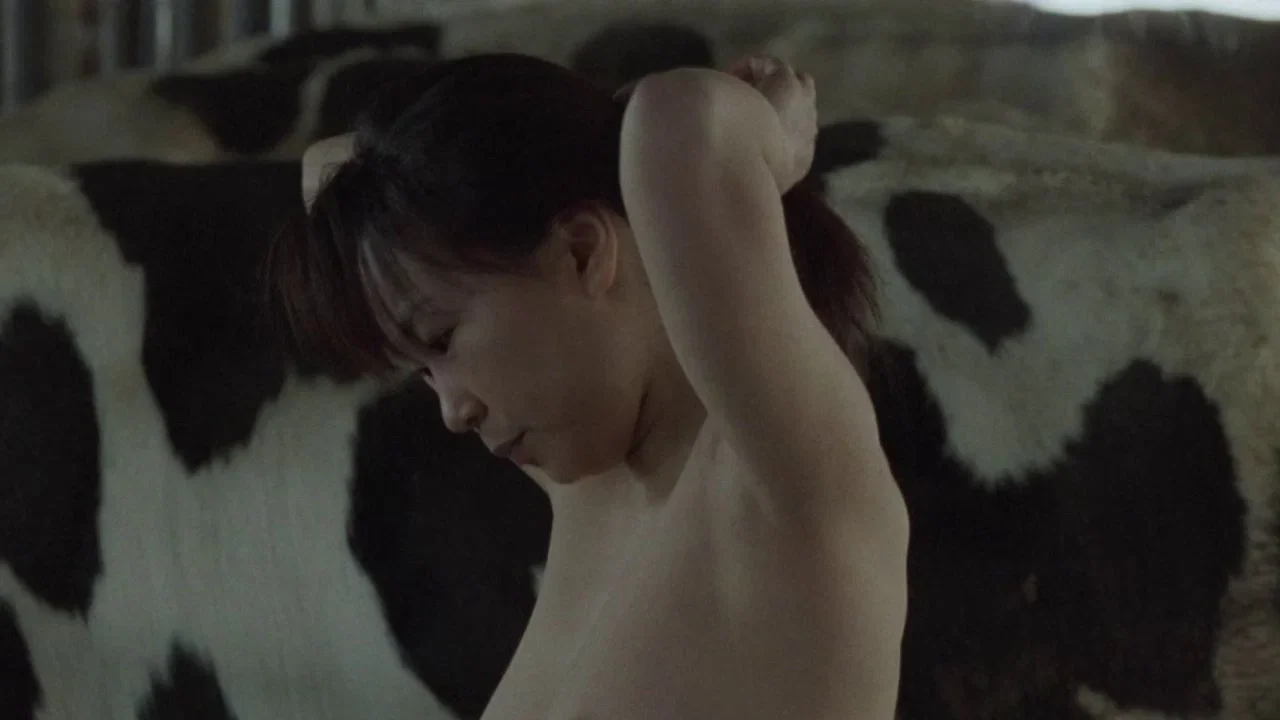 Фильм Одинокая корова плачет на рассвете (2003)