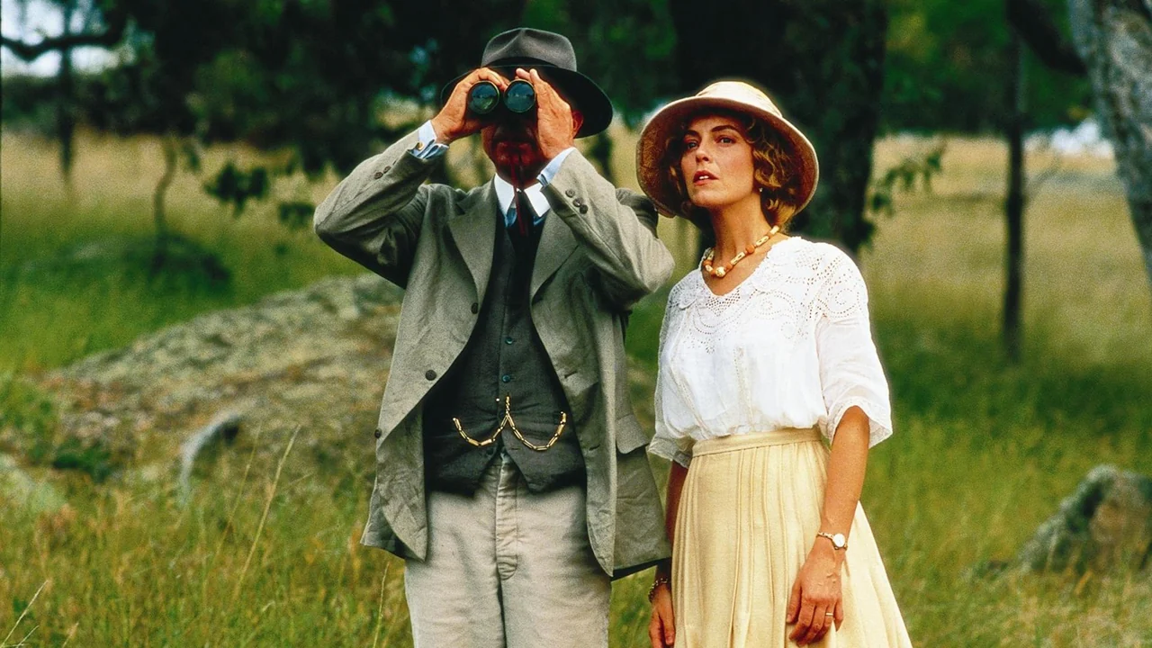 Фильм Провинциальный роман (1994)