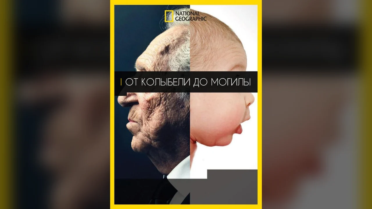 Фильм От колыбели до могилы (2016)