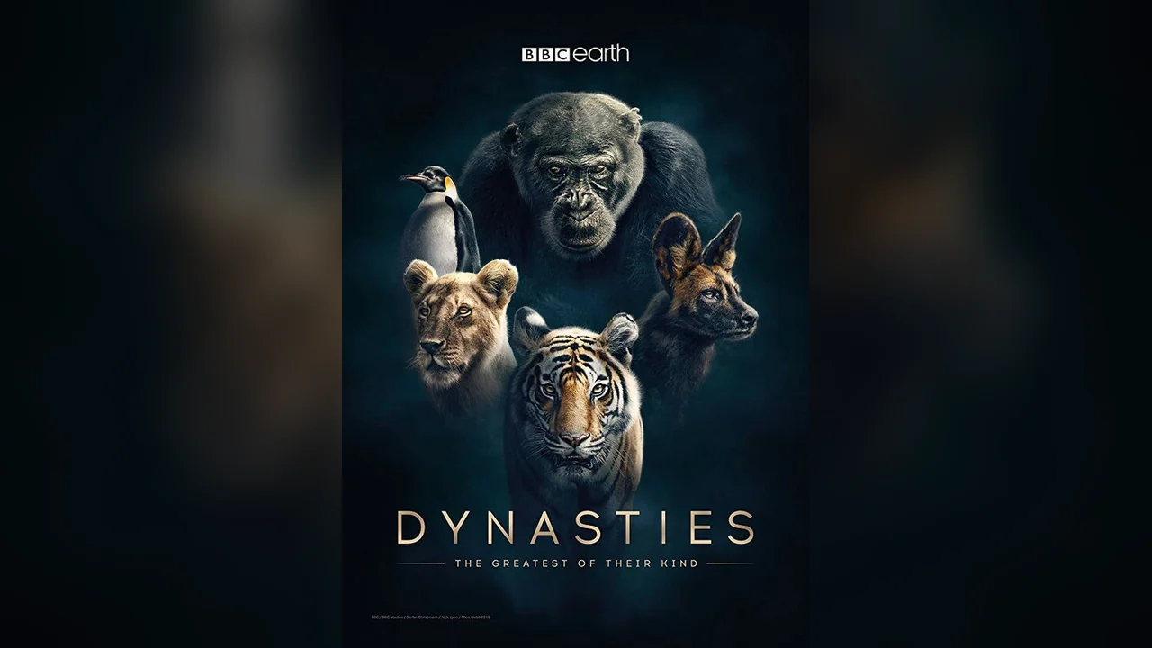 Сериал Династии (1 сезон)