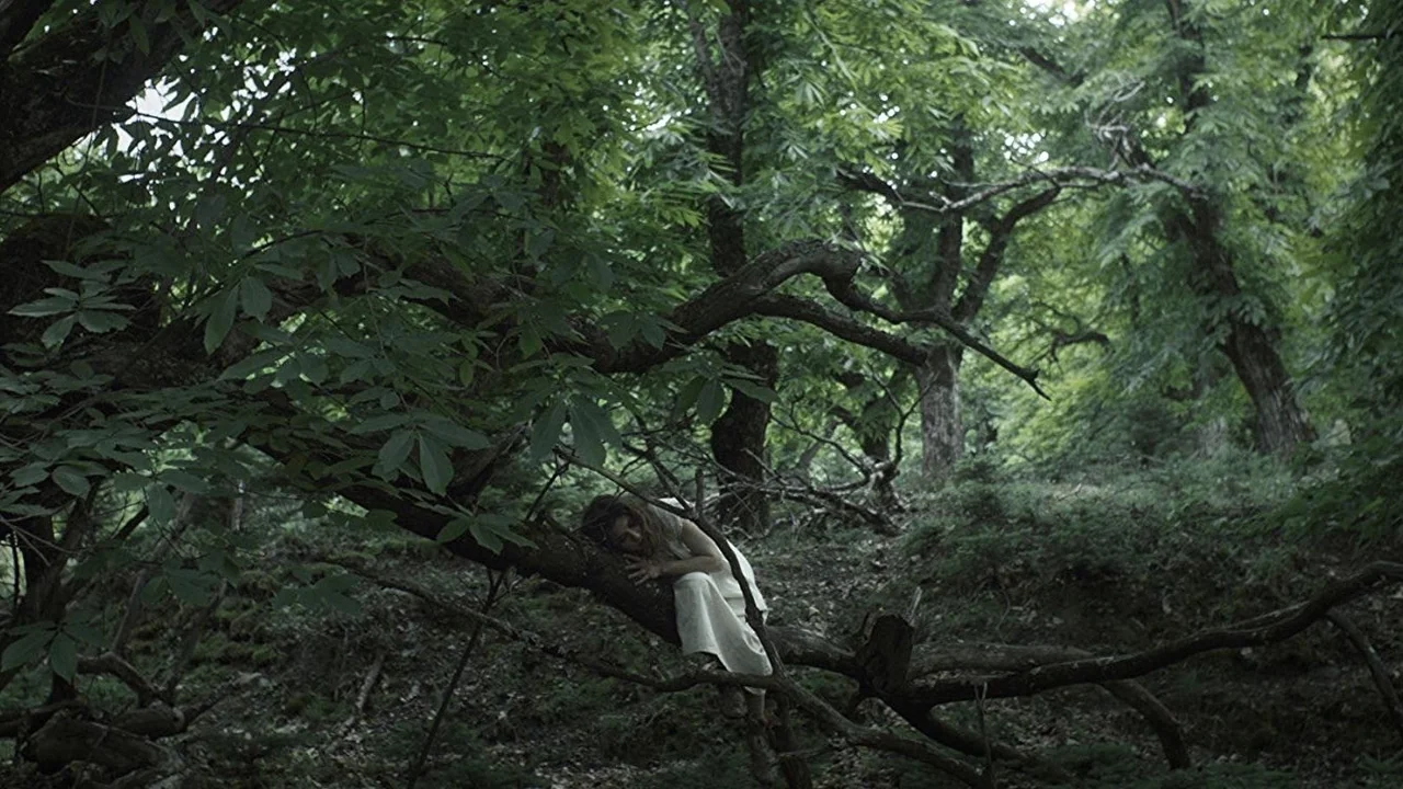 Фильм Переплетённые (2019)
