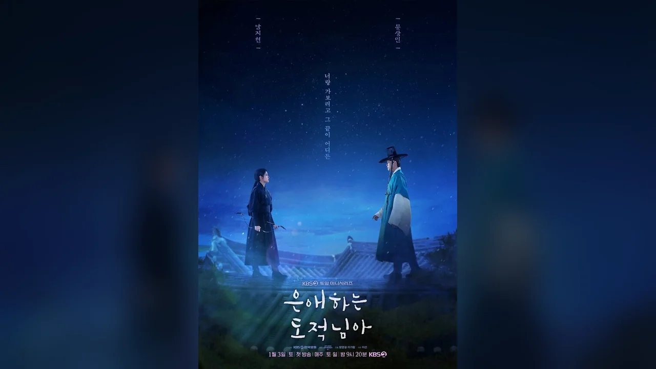 Сериал Моя любимая воровка (1 сезон)