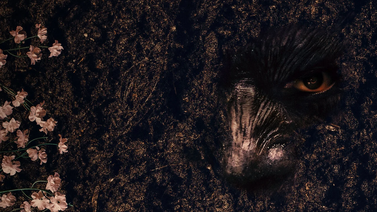 Фильм Проклятие «Зов могилы» (2024)