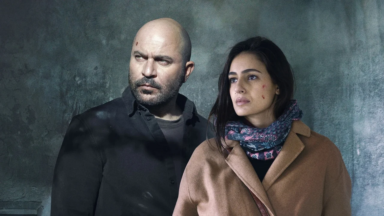 Сериал Фауда (1-5 сезон)