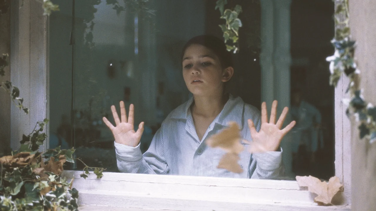Фильм Хрупкость (2005)