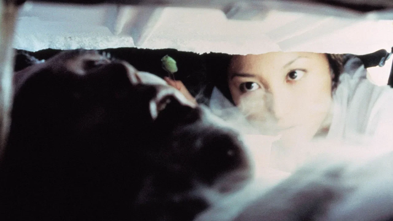 Фильм Заморозь меня (2000)