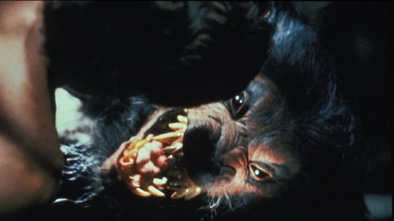 Фильм Вой 5: Возрождение (1989)