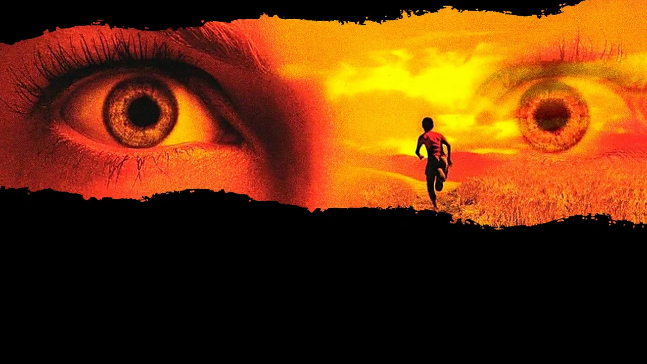Фильм Я не боюсь (2003)