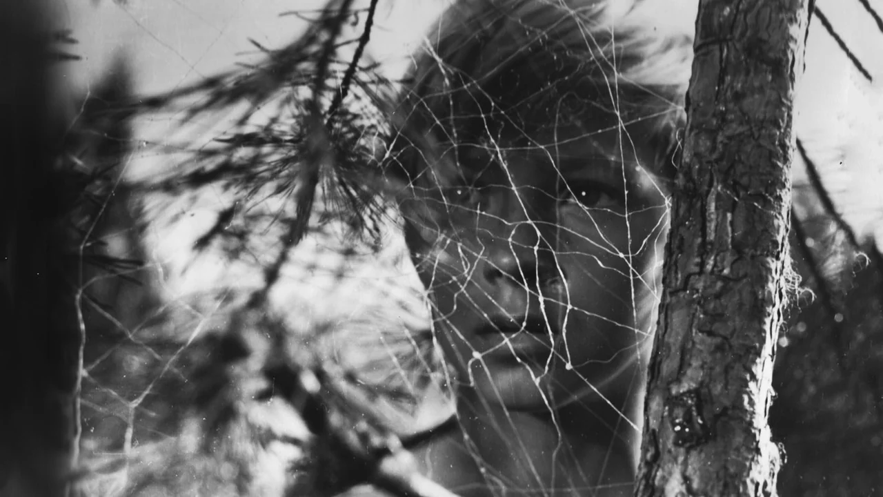 Фильм Иваново детство (1962)