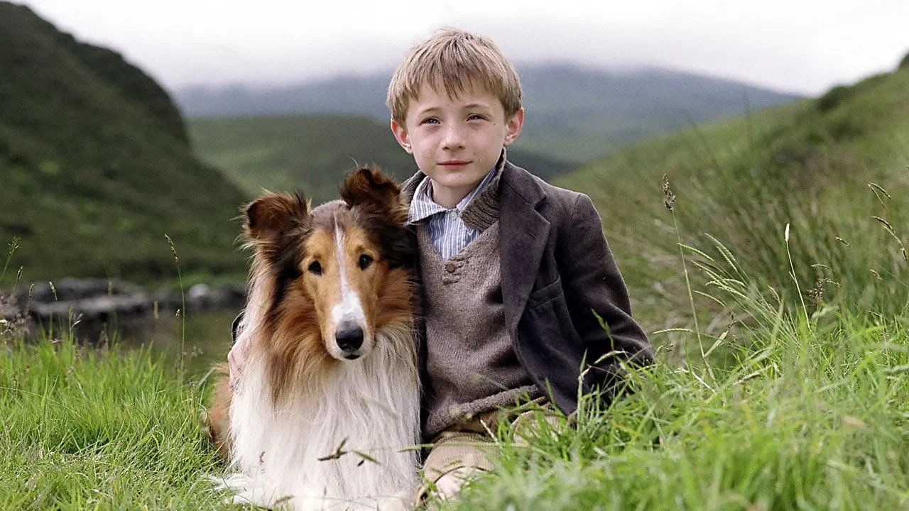 Фильм Лэсси (2005)