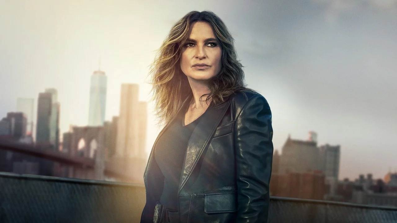 Сериал Закон и порядок. Специальный корпус (17-27 сезон)