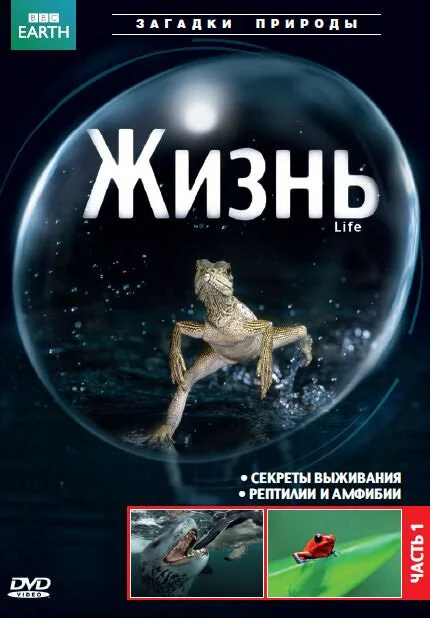 Сериал BBC: Жизнь (1 сезон)