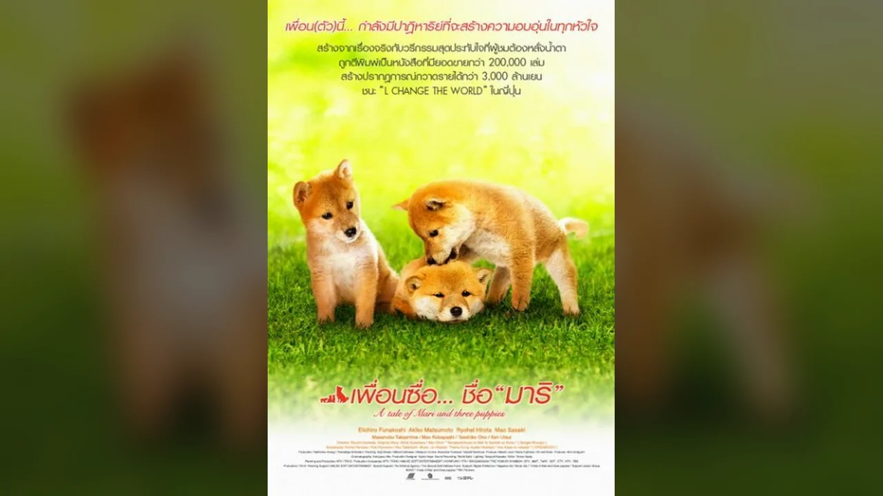 Фильм История Мари и трёх щенков (2007)