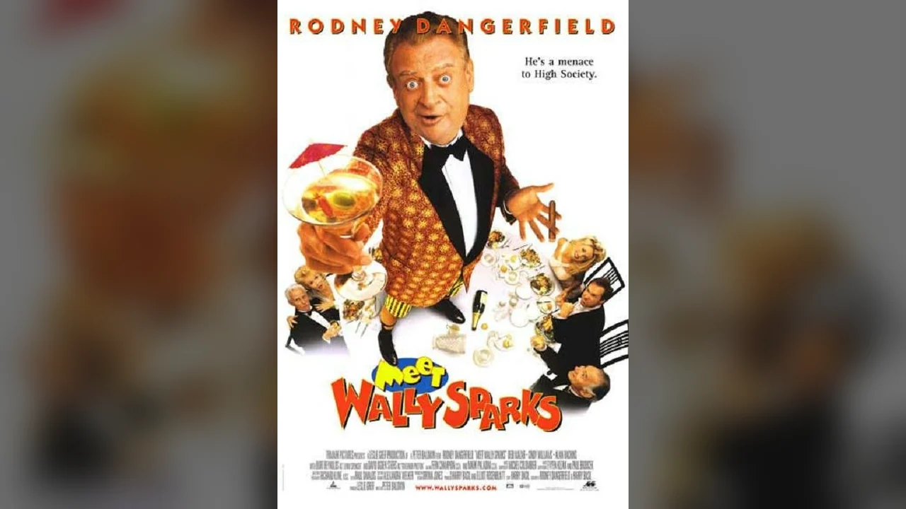 Фильм Познакомьтесь с Уолли Спарксом (1996)