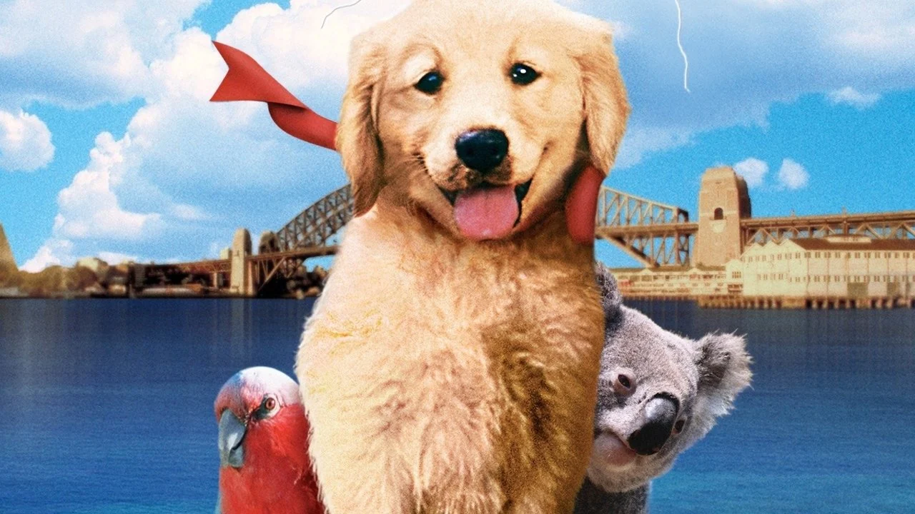 Фильм Наполеон (1995)