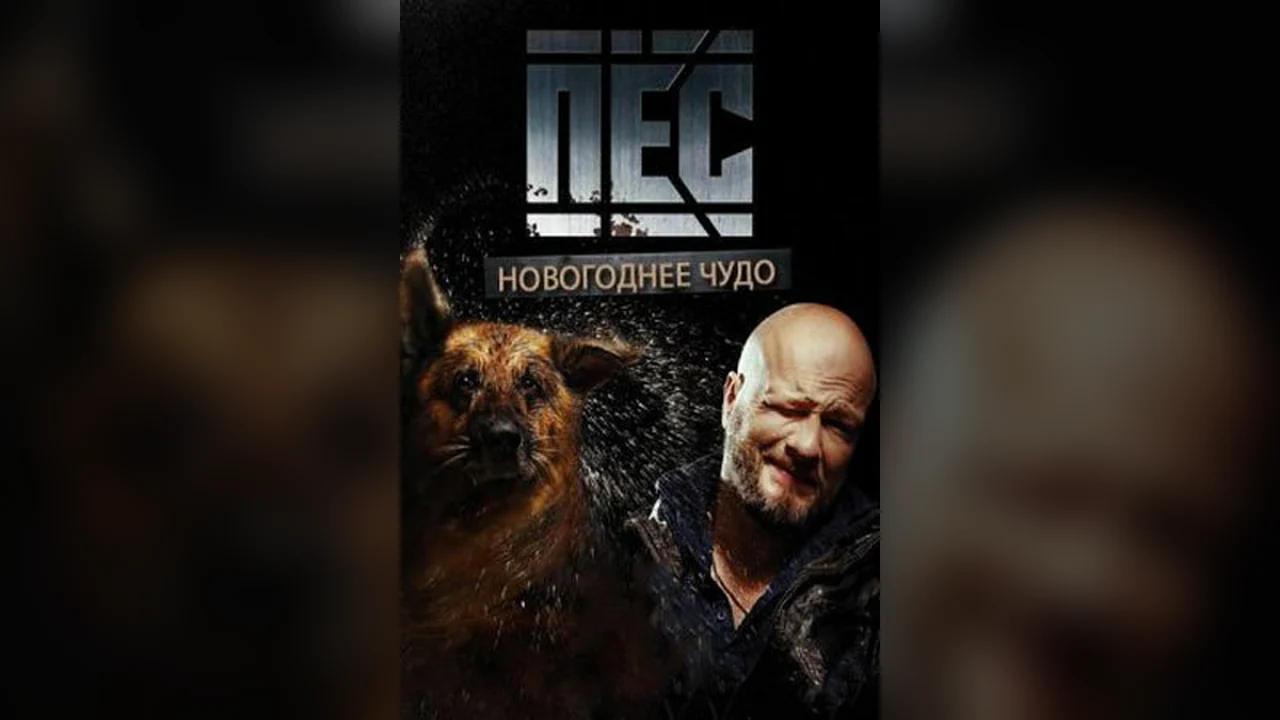 Сериал Пёс. Новогоднее чудо (1 сезон)