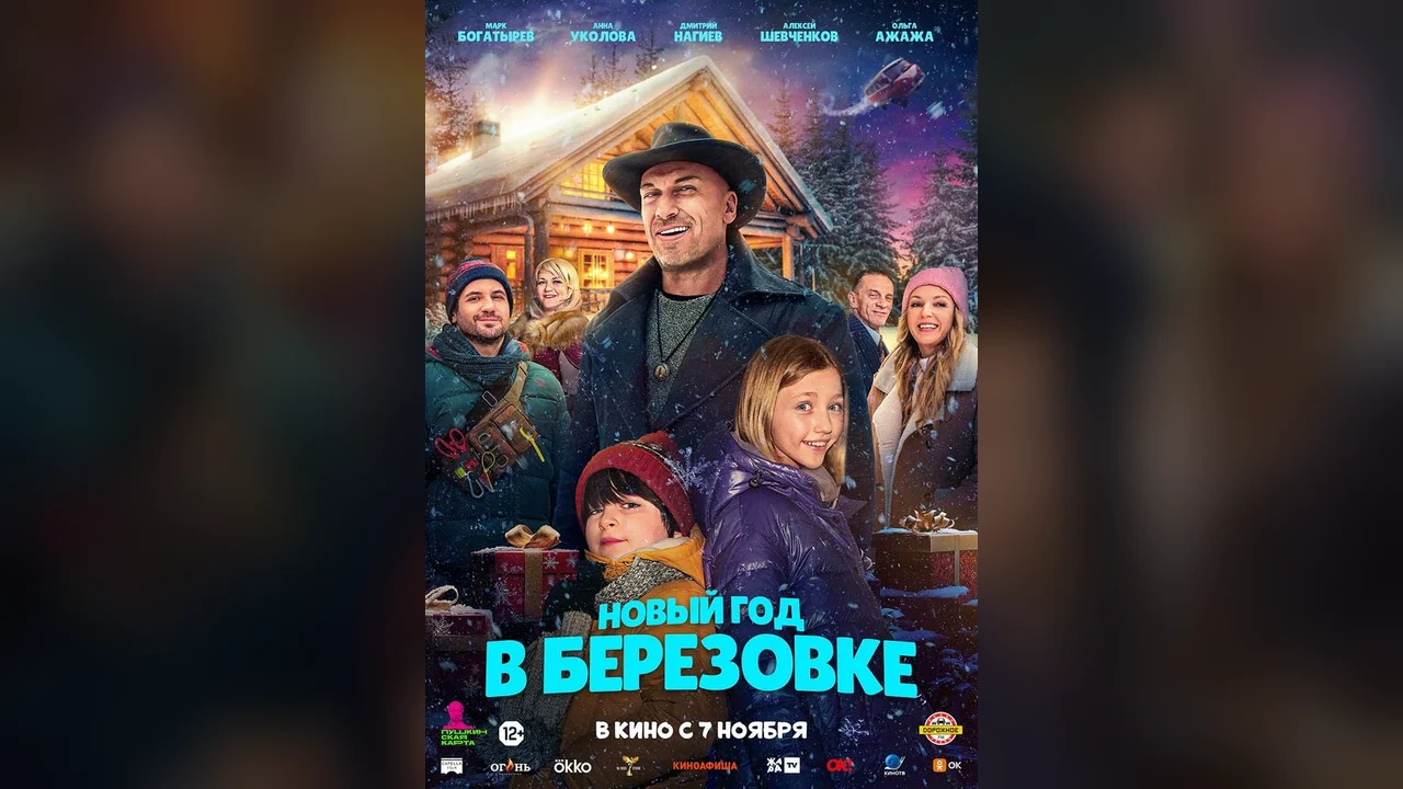 Фильм Новый год в Берёзовке (2024)