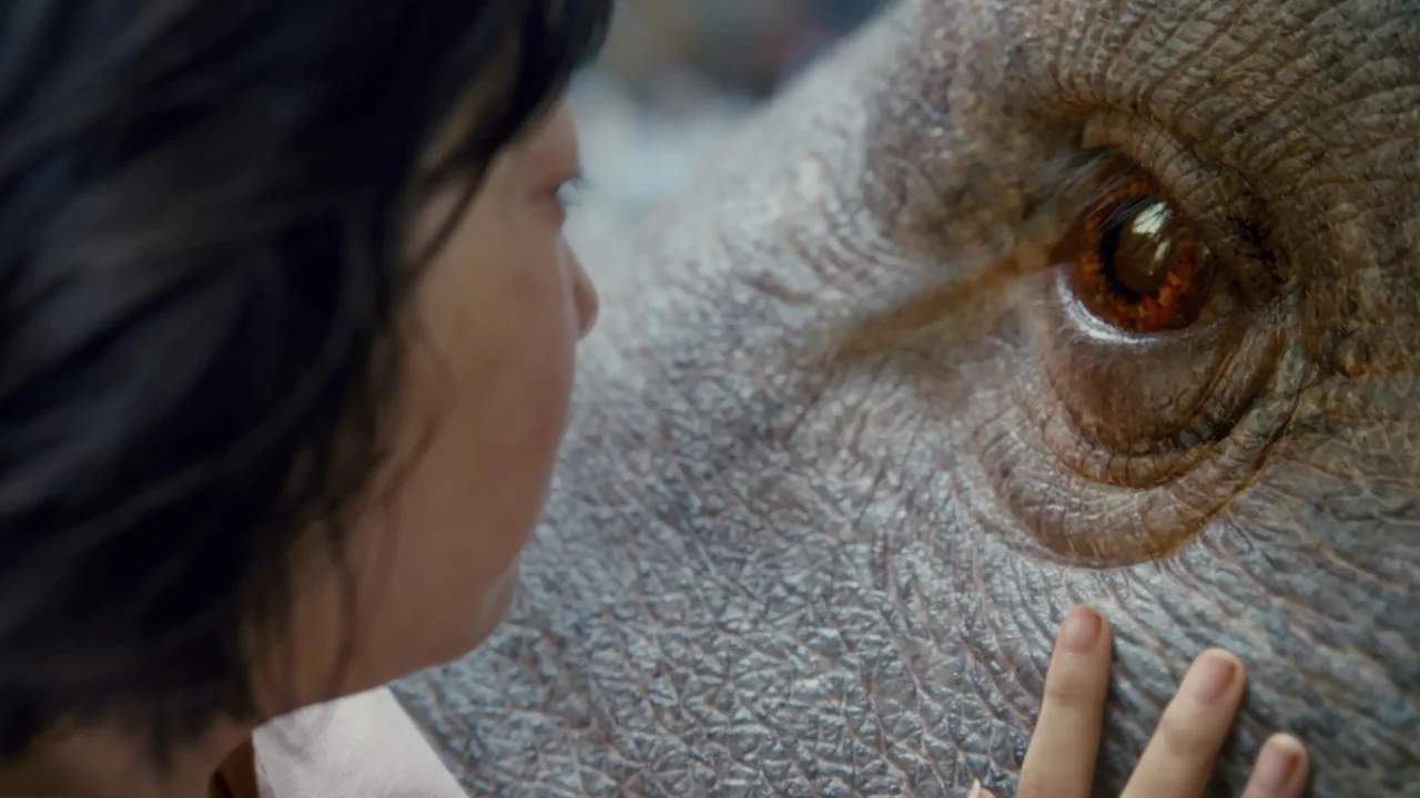 Фильм Окча (2017)