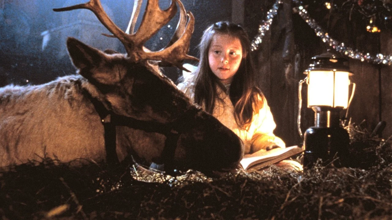 Фильм Скакун (1989)