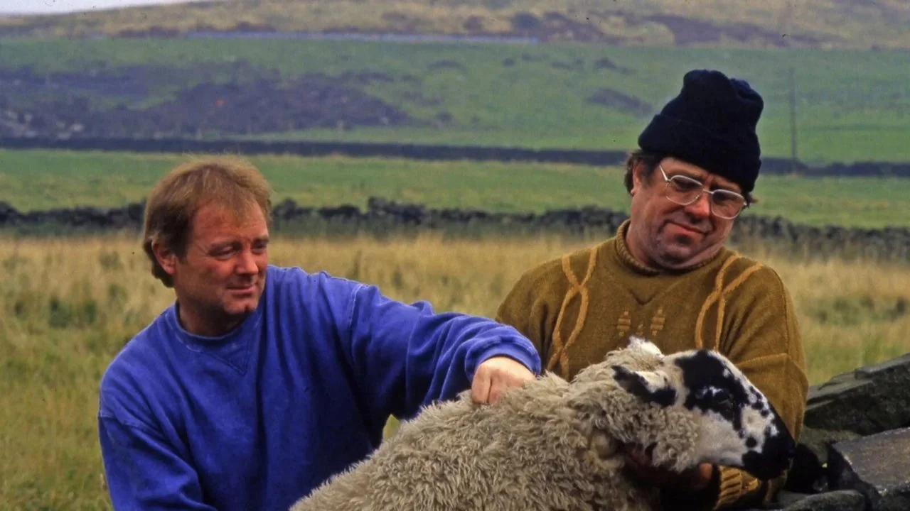 Фильм Град камней (1993)