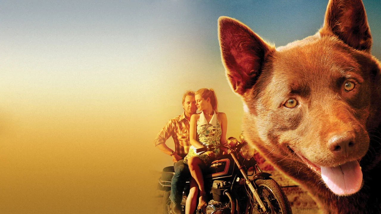 Фильм Рыжий пес (2011)