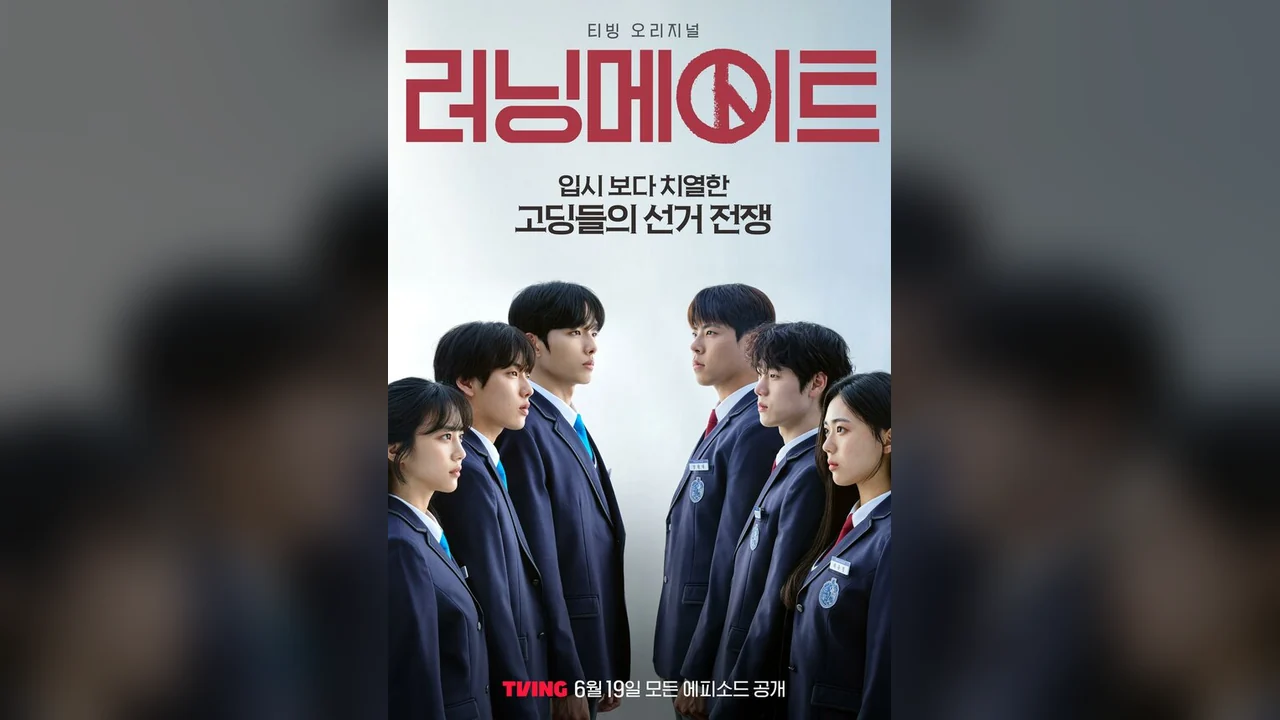 Сериал Напарник на выборах (1 сезон)