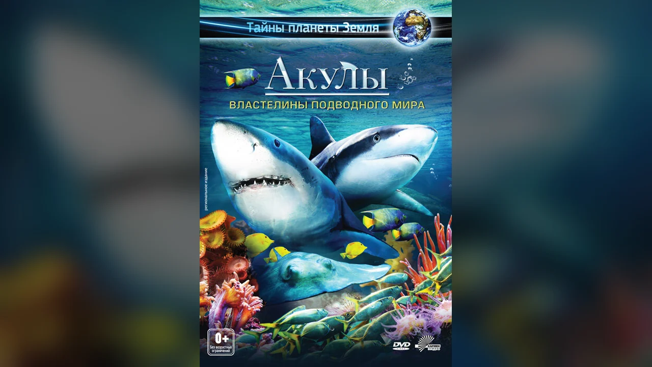 Фильм Акулы 3D: Властелины подводного мира (2013)