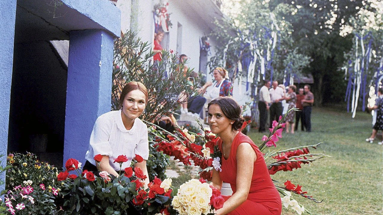 Фильм ...на асфальте коней пасла (1982)