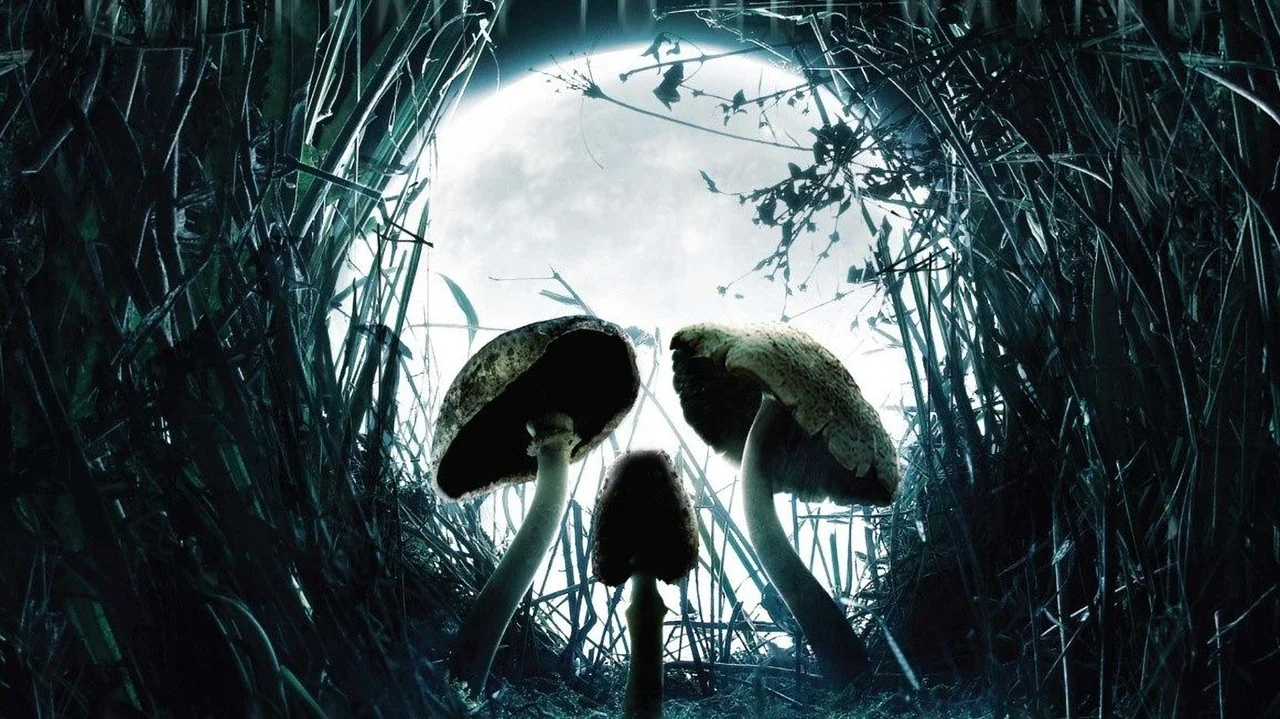 Фильм Грибы (2007)
