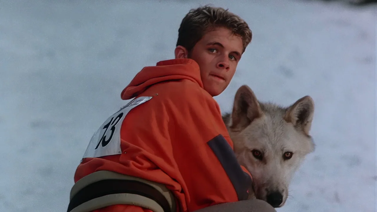 Фильм Серебряный волк (1999)
