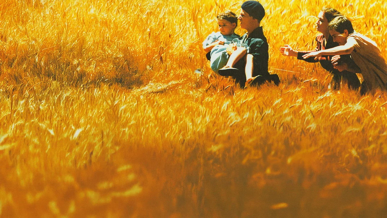 Фильм Заблудившиеся (2003)