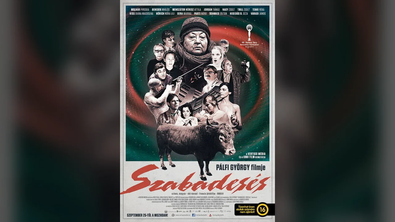 Фильм Свободное падение (2014)