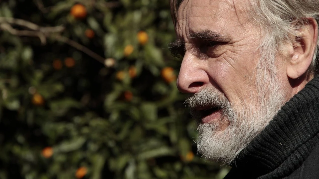 Фильм Мандарины (2013)