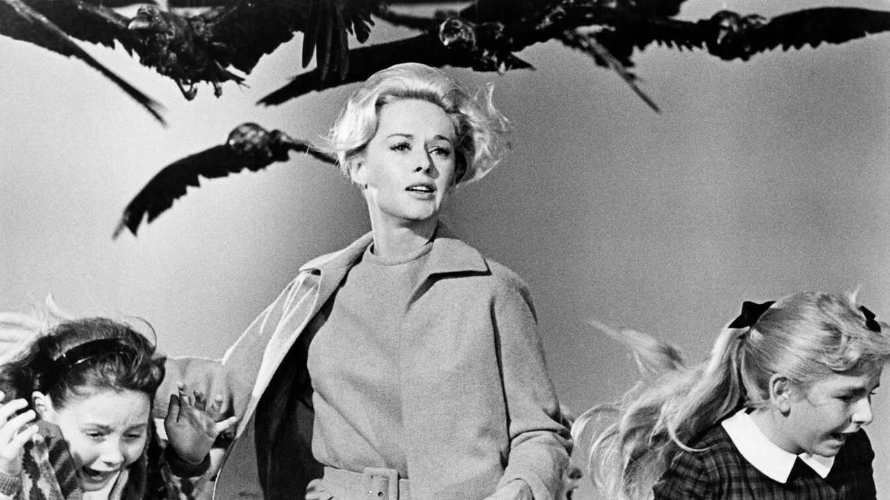 Фильм Птицы (1963)