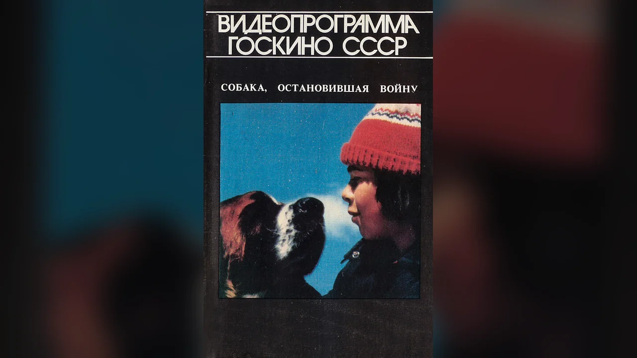 Фильм Собака, остановившая войну (1984)