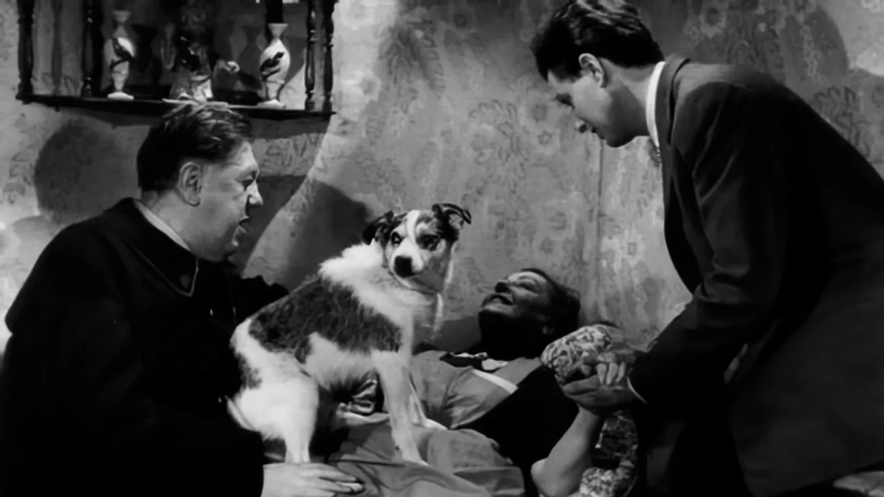 Фильм Невыносимый господин Болтун (1955)