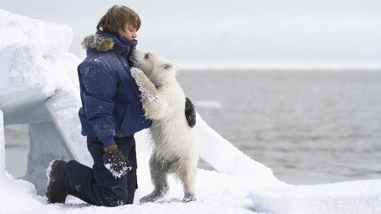 Фильм Полуночное солнце (2014)