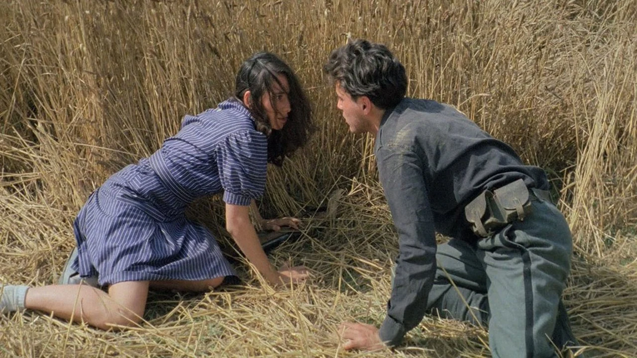 Фильм Ночь Святого Лаврентия (1982)