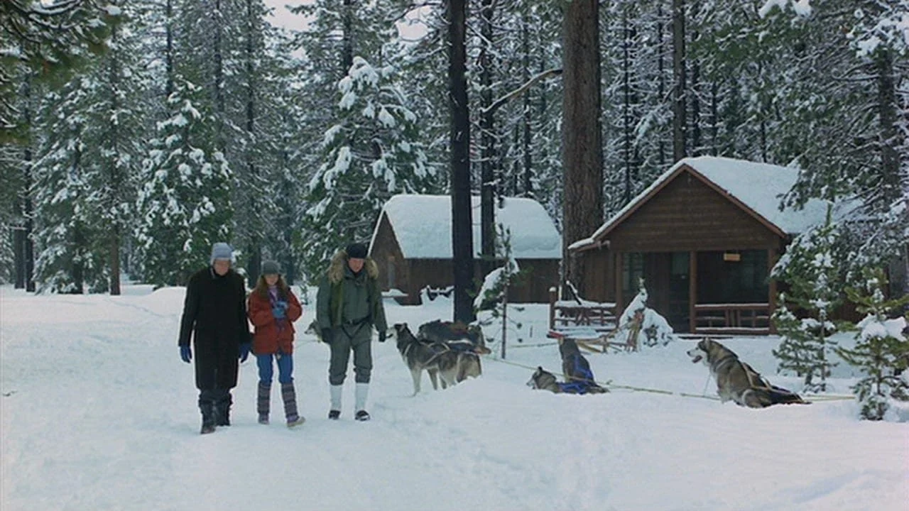 Фильм Школа выживания (1983)