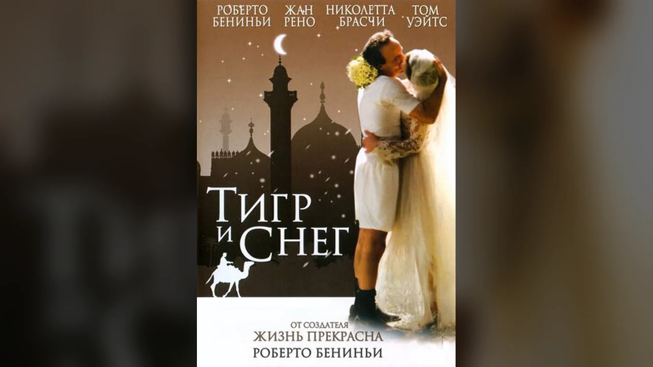 Фильм Тигр и снег (2005)