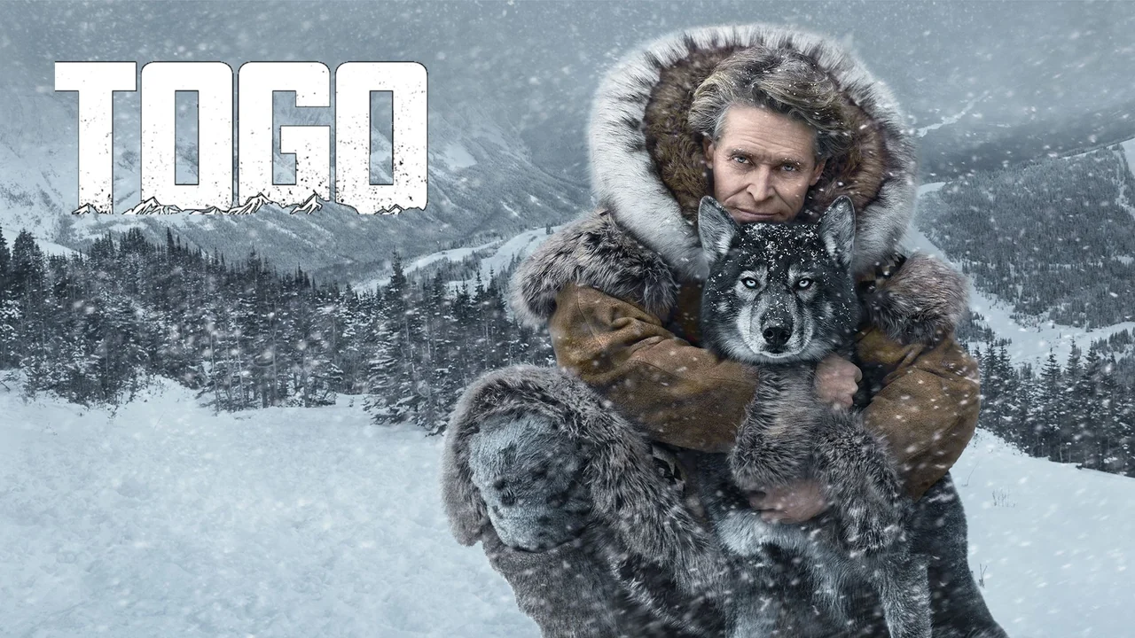 Фильм Того (2019)