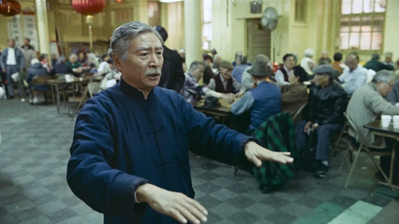 Фильм Толкающие руки (1991)
