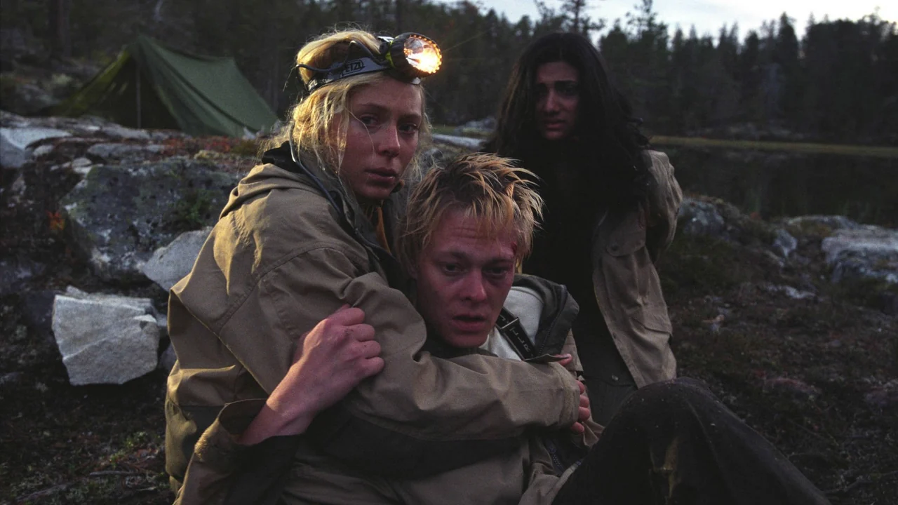 Фильм Тёмный лес (2003)