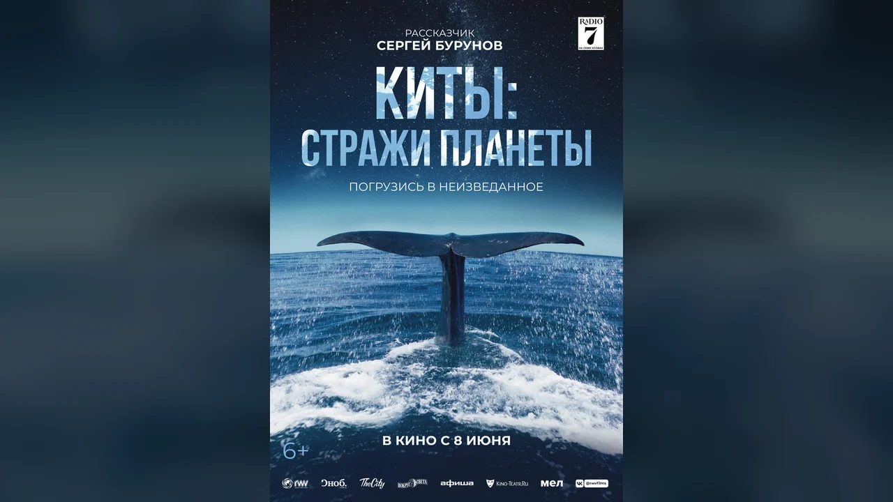 Фильм Киты: Стражи планеты (2023)