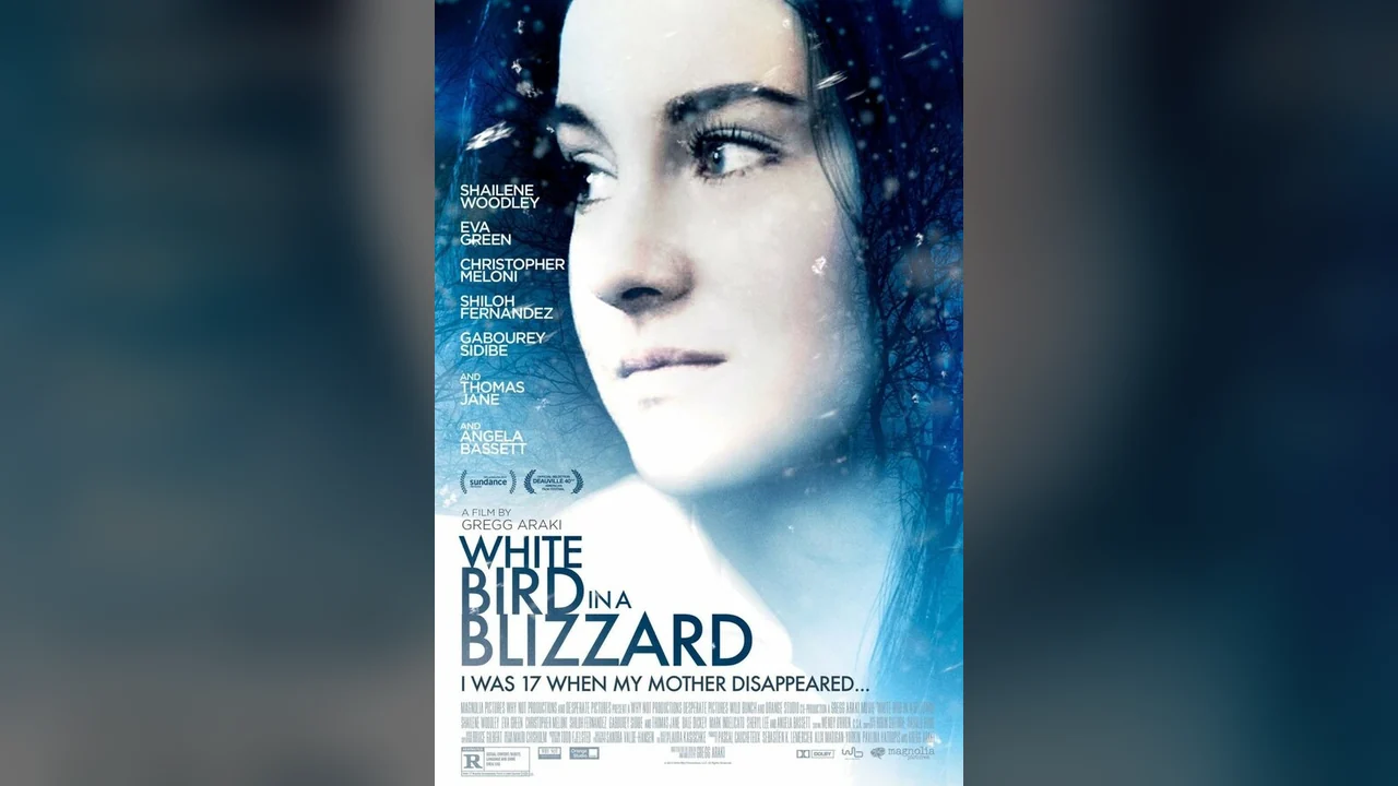 Фильм Белая птица в метели (2014)