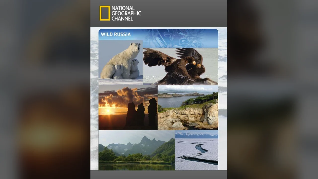 Сериал Дикая природа России (1 сезон)