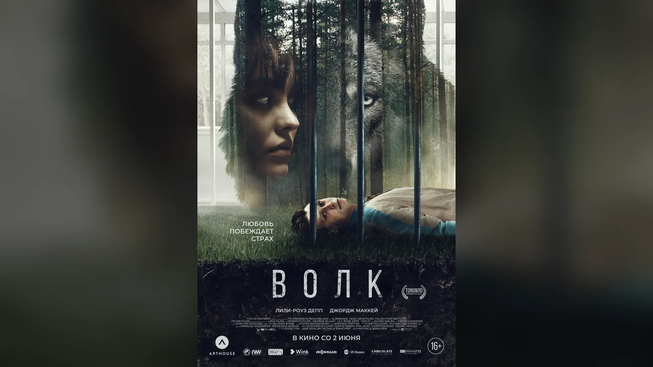 Фильм Волк (2021)
